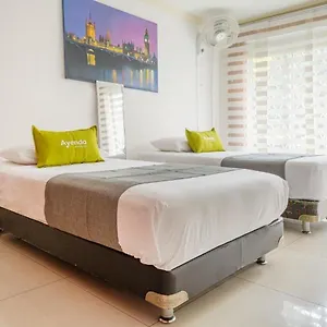 hostel-boutique-palo-alto.colombiamedellinhotels.com/